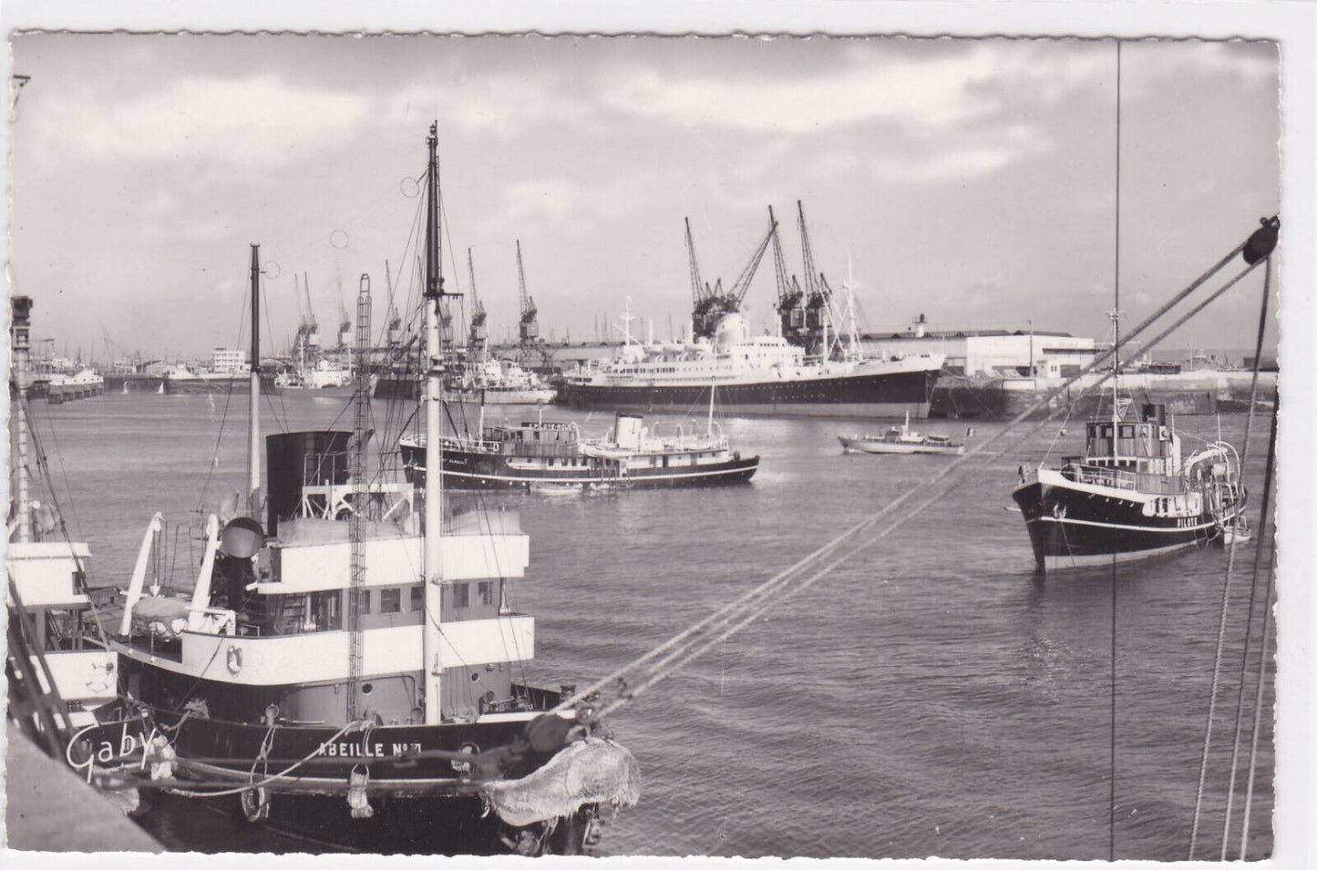POSTCARD CPSM LE HAVRE TUGBOATS IN POSITION AND PILOTS 