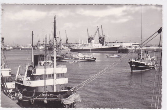 CARTE POSTALE CPSM LE HAVRE LES REMORQUEURS A POSTE ET LES PILOTES