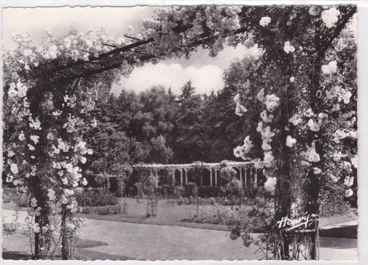 POSTCARD CPSM VITTEL LA ROSERAIE 