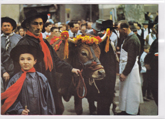 CARTE POSTALE CPM BARJOLS FETE DE SAINT MARCEL FETE DES TRIPETTES VAR BOEUF