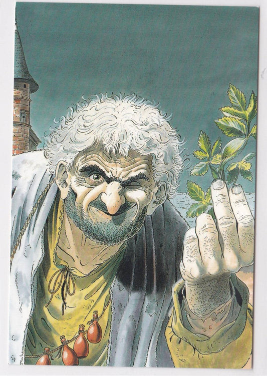 POSTCARD CPM PROMO BD LES CHEMINS DE MALEFOSSE T8 L'HERBE D'OUBLI GLENAT 