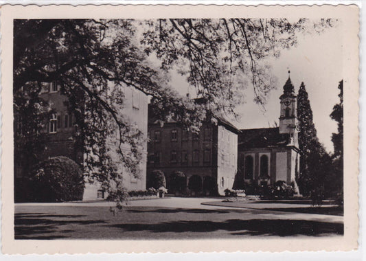 CARTE POSTALE CPSM MAINAU LE CHATEAU ET L'EGLISE
