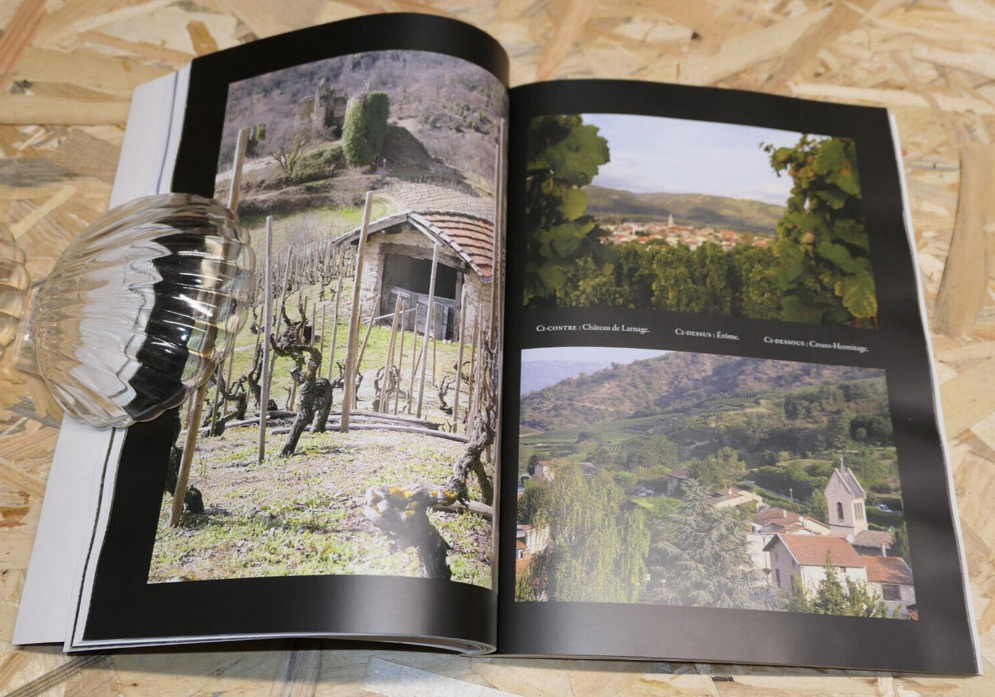 HERMITAGE & CROZES-HERMITAGE TERROIRS DE PASSIONS VIN AOC VITICULTURE 2013