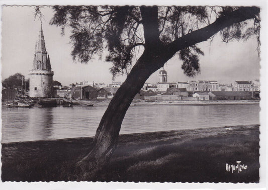 CARTE POSTALE CPSM LA ROCHELLE DELICIEUSE PROMENADE DES TAMARIS