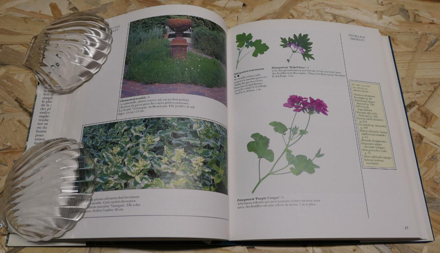 AU JARDIN OU ET COMMENT PLANTER ? FRANCES WELLAND GUIDE PRATIQUE 1000 PLANTES
