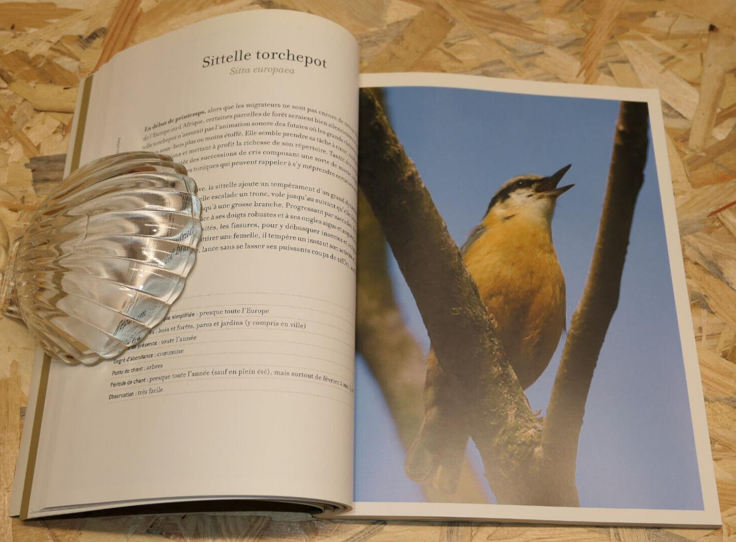 LIVRE CD MAITRES CHANTEURS / LPO CHANTS OISEAUX PHOTOS ORNITHOLOGIE NATURE