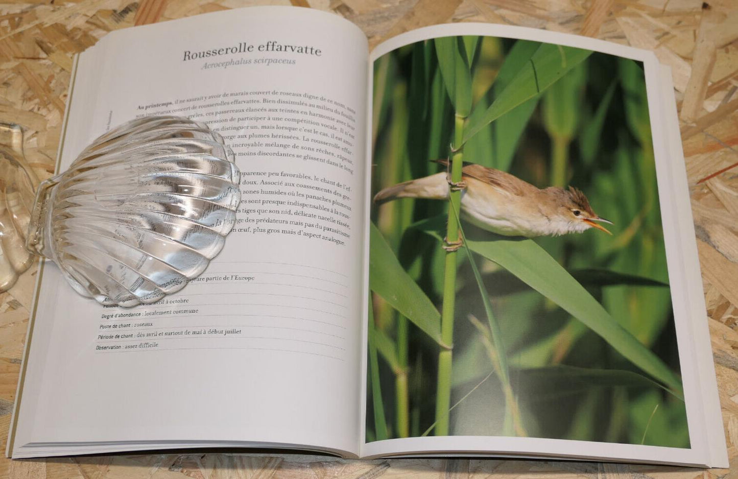 LIVRE CD MAITRES CHANTEURS / LPO CHANTS OISEAUX PHOTOS ORNITHOLOGIE NATURE