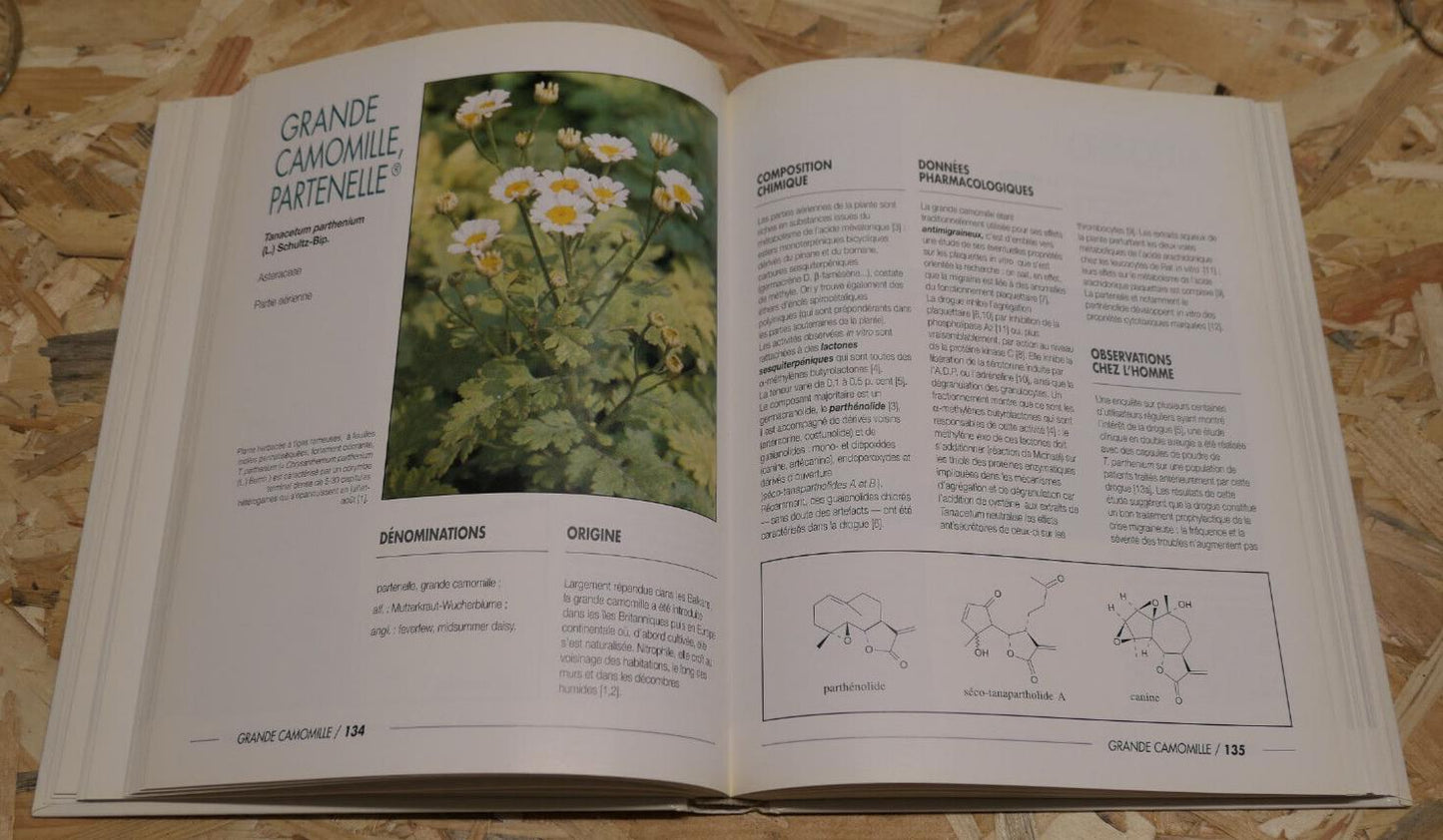 100 PLANTES MEDICINALES / MAX ROMBI / PHYTOTHERAPIE BOTANIQUE PHOTOS / 1991