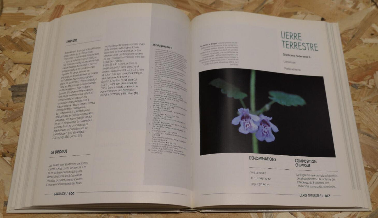 100 PLANTES MEDICINALES / MAX ROMBI / PHYTOTHERAPIE BOTANIQUE PHOTOS / 1991
