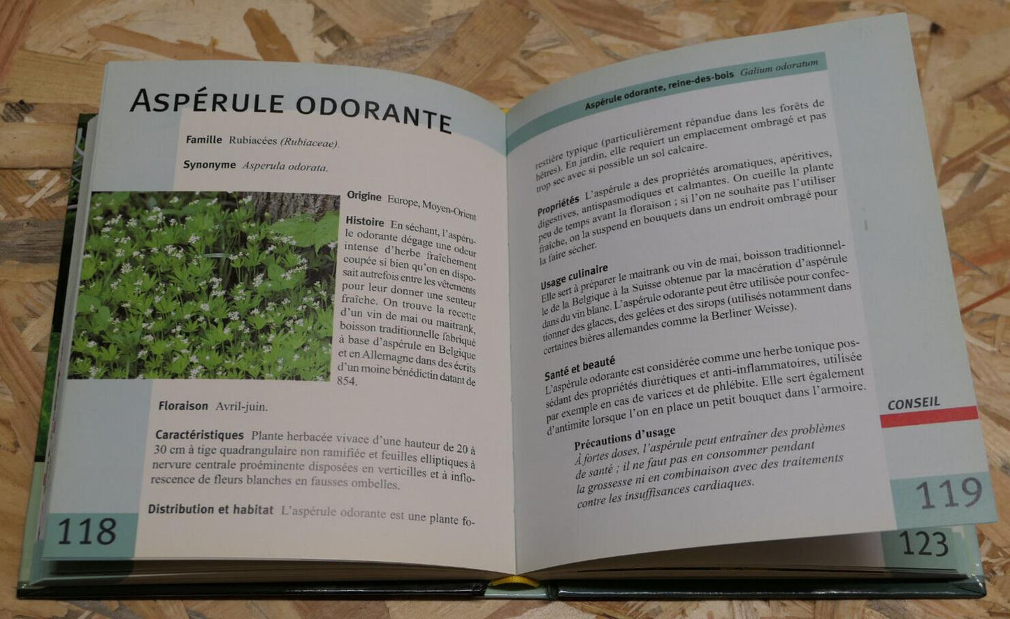 LEXIGUIDE DES HERBES ET PLANTES AROMATIQUES / BOTANIQUE CONSEILS RECETTES / 2007