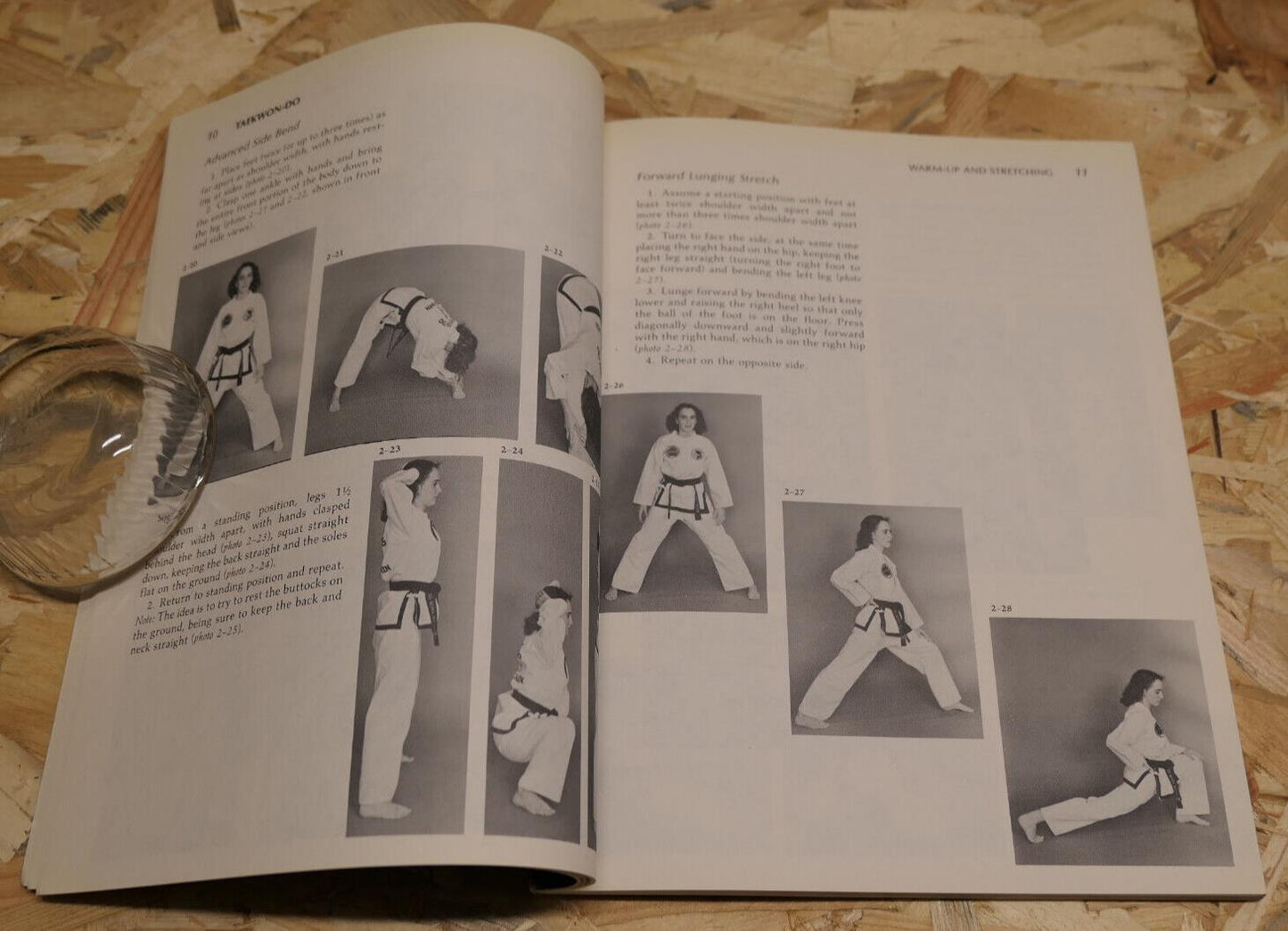 TAEKWON-DO A GUIDE TO THE THEORIES OF DEFENSIVE MOVEMENT / MARTIAL ART 1984