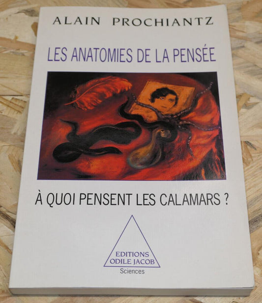 LES ANATOMIES DE LA PENSEE A QUOI PENSENT LES CALAMARS / ALAIN PROCHIANTZ / 1997