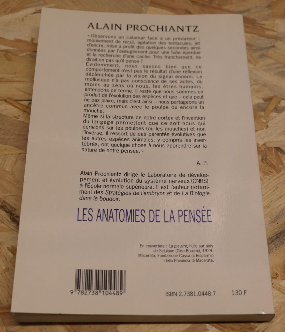 LES ANATOMIES DE LA PENSEE A QUOI PENSENT LES CALAMARS / ALAIN PROCHIANTZ / 1997