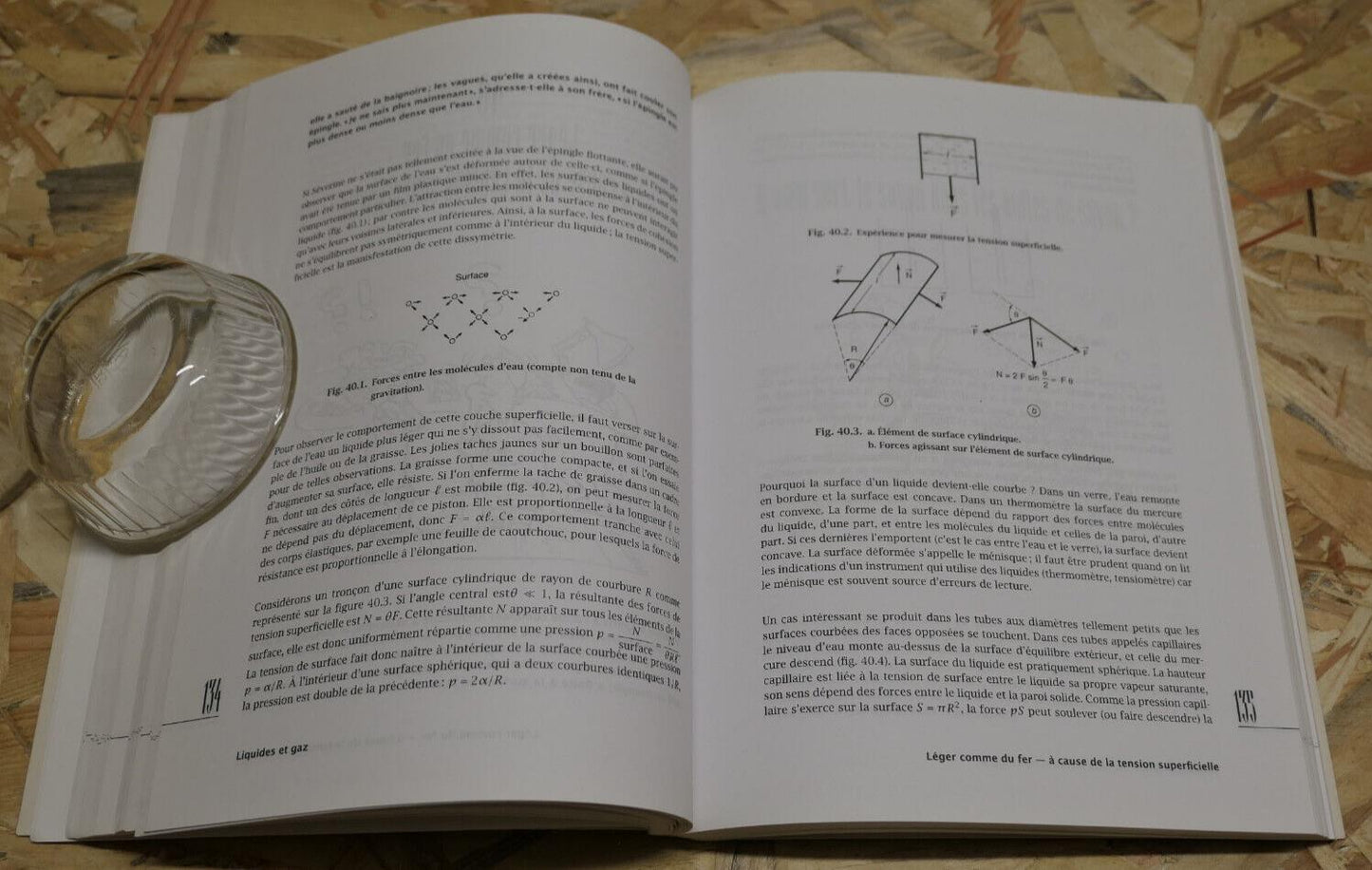 LA PHYSIQUE DE TOUS LES JOURS / ITSVAN BERKES / SCHEMAS DESSINS / VUIBERT 1996