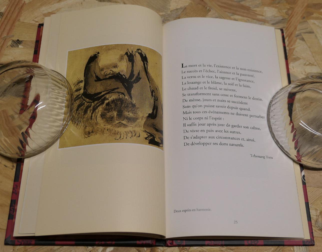 PAROLES DU TAO / MARC DE SMEDT / ALBIN MICHEL 1999