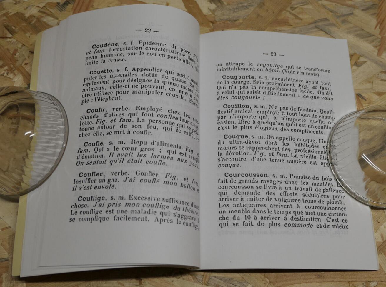 Petit Vocabulaire Local À L'Usage Des Gens Du Midi - Joblot - Lacour 1989