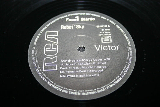 ROBOT SKY   MAXI 45T 12"   SYNTHESIZE ME A LOVE  PROMO