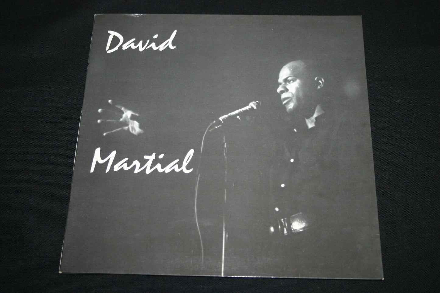 DAVID MARTIAL   LP 33T 12"   DEVANT LES JOURS QUI PASSENT   1973