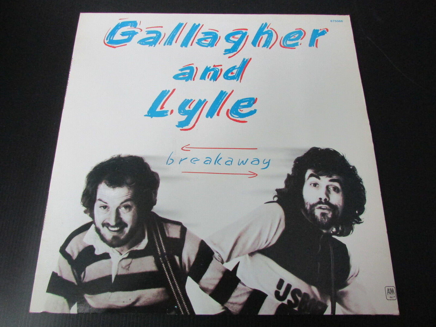 GALLAGHER AND LYLE   A&M RECORDS   LOT DE 2 LP 33T 12"