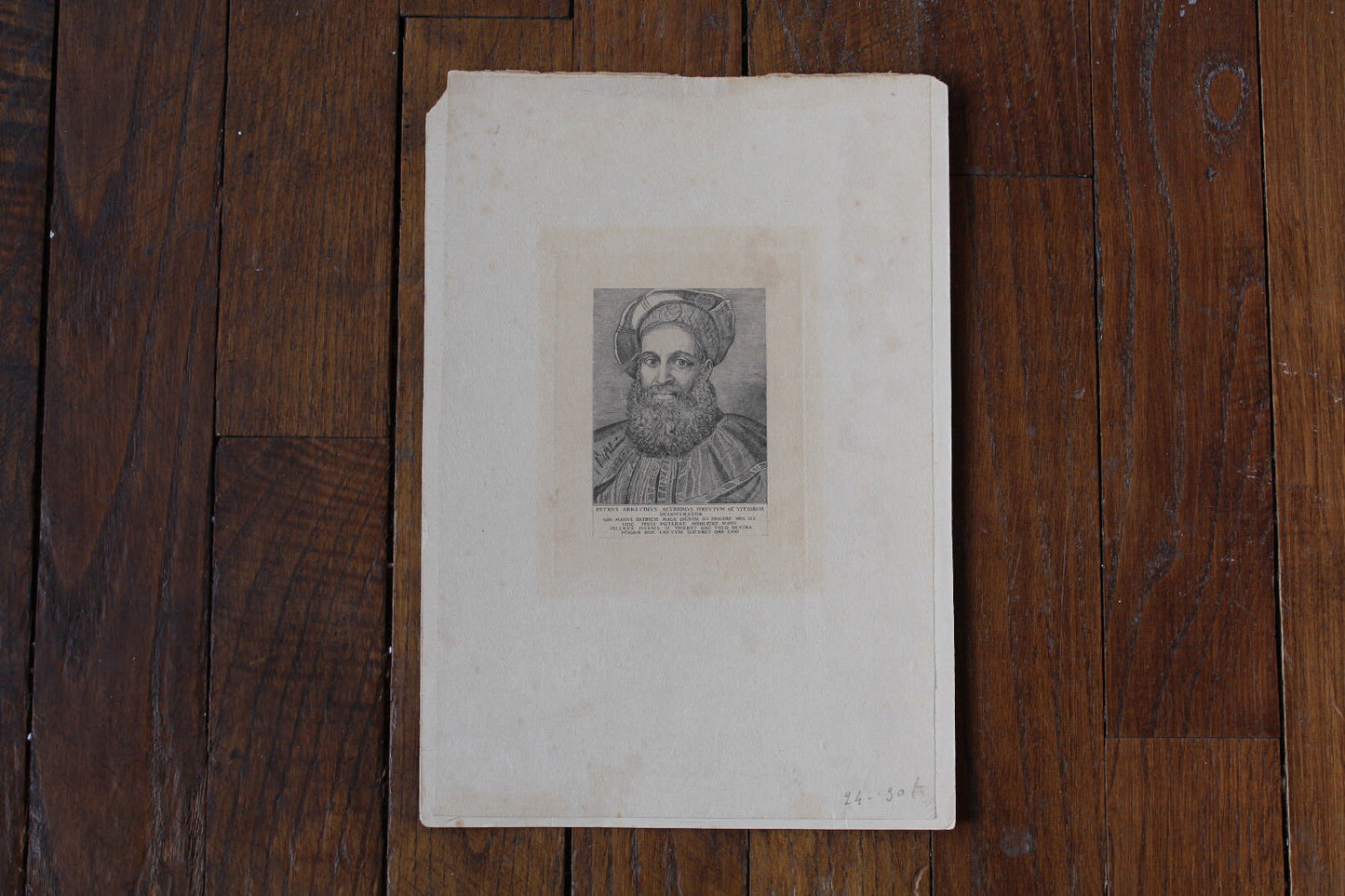 Gravure PORTRAIT Petrus Arretinus Acerrimus Virtutum Ac Vitiorum Demostrator