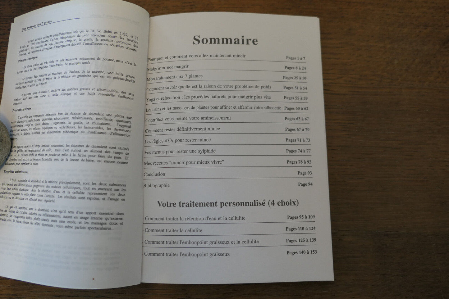 MON TRAITEMENT NATUROPATHIQUE POUR MAIGRIR AVEC CERTITUDE ET SANS REGIME