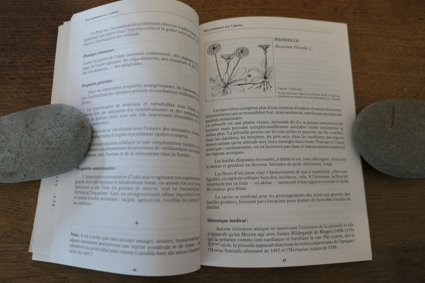 MON TRAITEMENT NATUROPATHIQUE POUR MAIGRIR AVEC CERTITUDE ET SANS REGIME
