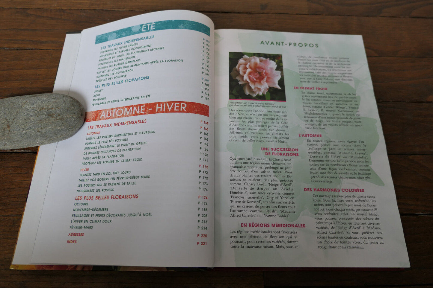 DES ROSES DANS VOTRE JARDIN TOUTE L'ANNEE JEROME GOUTIER MANUEL GUIDE JARDINAGE