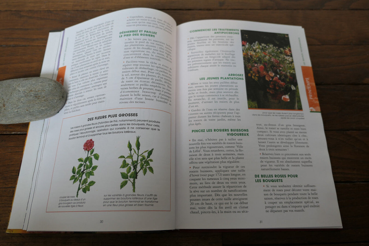 DES ROSES DANS VOTRE JARDIN TOUTE L'ANNEE JEROME GOUTIER MANUEL GUIDE JARDINAGE