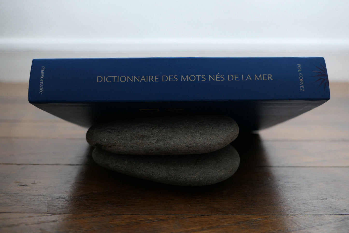 DICTIONNAIRE DES MOTS NES DE LA MER LANGAGE MARITIME MARINE CHASSE-MAREE 2007
