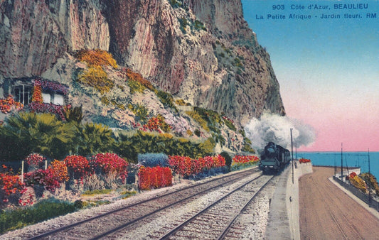 CPA COTE D'AZUR - BEAULIEU - LA PETITE AFRIQUE - JARDIN FLEURI