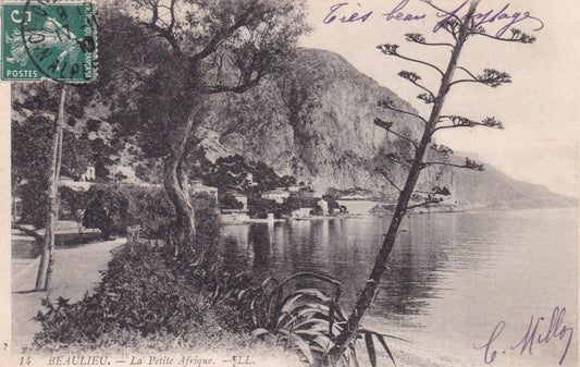 CPA BEAULIEU - LA PETITE AFRIQUE