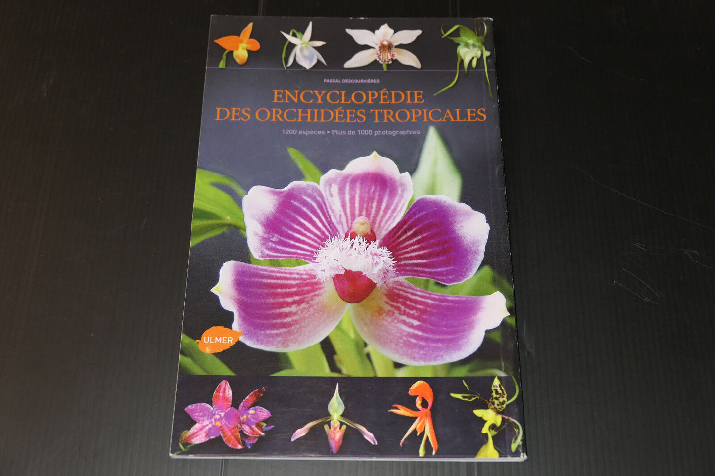 L'ORCHIDOPHILE N°191 - 2011