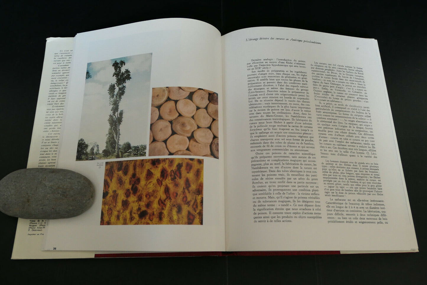 PLANTES AGRESSIVES ET POISONS VEGETAUX / PIERRE DELAVEAU / 1974