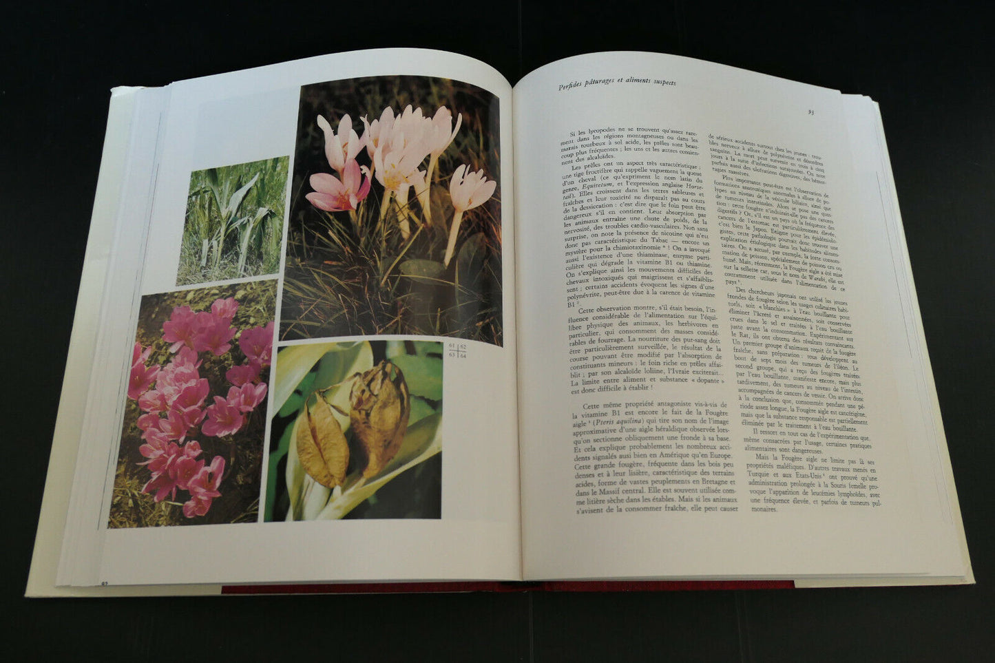 PLANTES AGRESSIVES ET POISONS VEGETAUX / PIERRE DELAVEAU / 1974