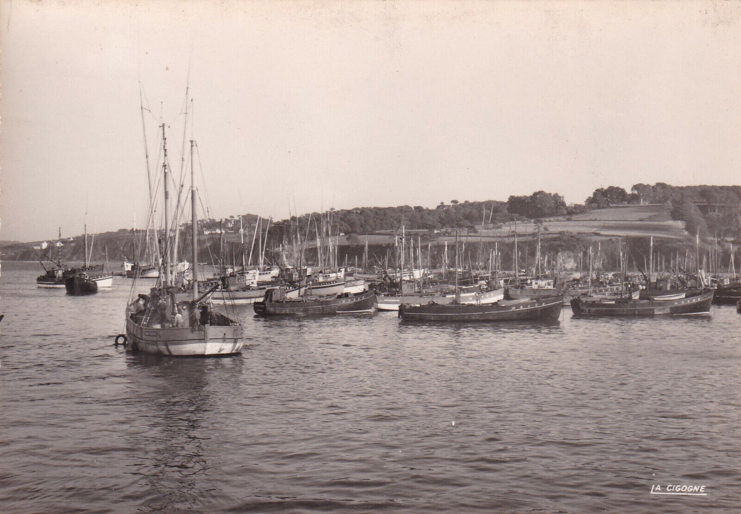 ANCIENNE CARTE POSTALE CPSM 29 DOUARNENEZ / LA RADE