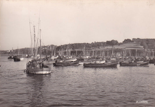 ANCIENNE CARTE POSTALE CPSM 29 DOUARNENEZ / LA RADE