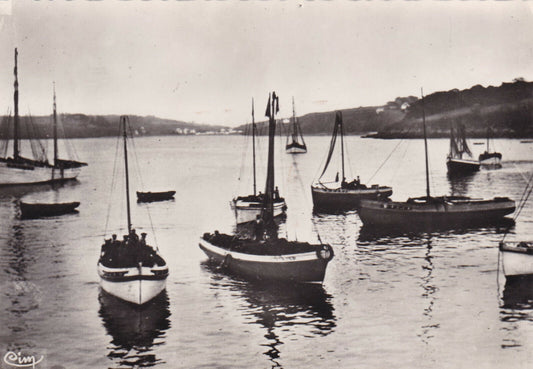 ANCIENNE CARTE POSTALE CPSM 29 FINISTERE DOUARNENEZ / LE PORT / BATEAUX
