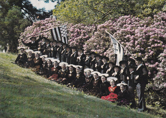 ANCIENNE CARTE POSTALE CPSM BRETAGNE 56 INZINZAC-LOCKRIST / LE CERCLE CELTIQUE