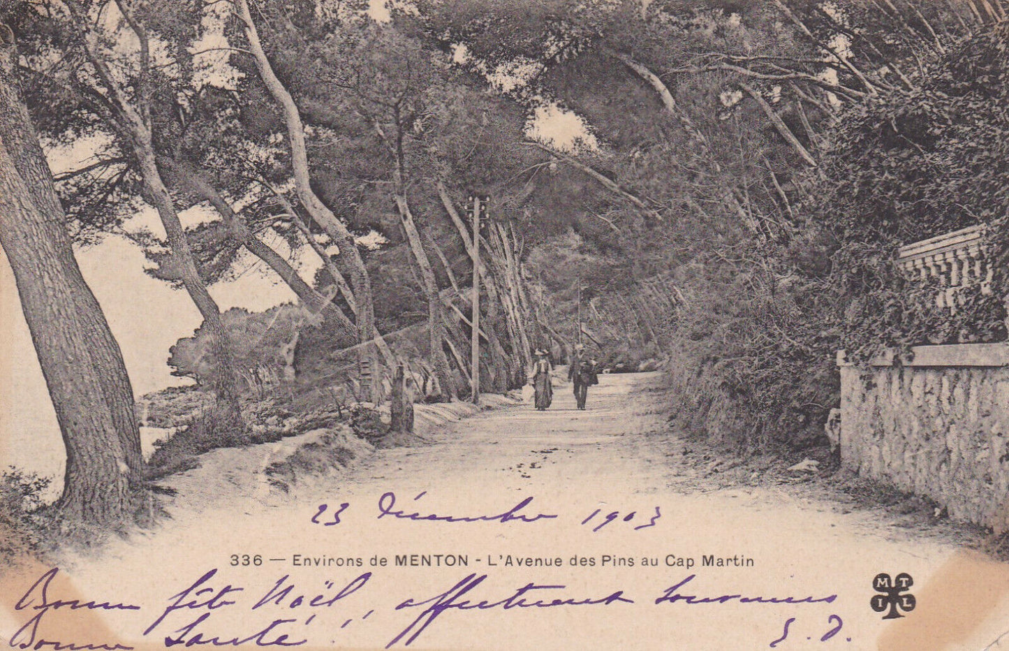 CARTE POSTALE ANCIENNE CPA ENVIRONS DE MENTON / L'AVENUE DES PINS AU CAP MARTIN
