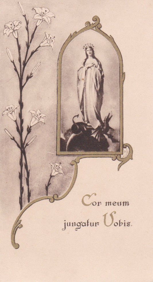 ANCIENNE IMAGE PIEUSE HOLY CARD COR MEUM JUNGATUR VOBIS DANESI ROMA 1932