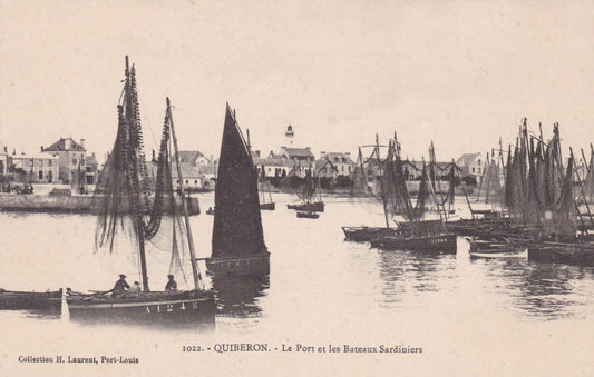 OLD POSTCARD CPA QUIBERON THE PORT AND THE SARDINE BOATS 