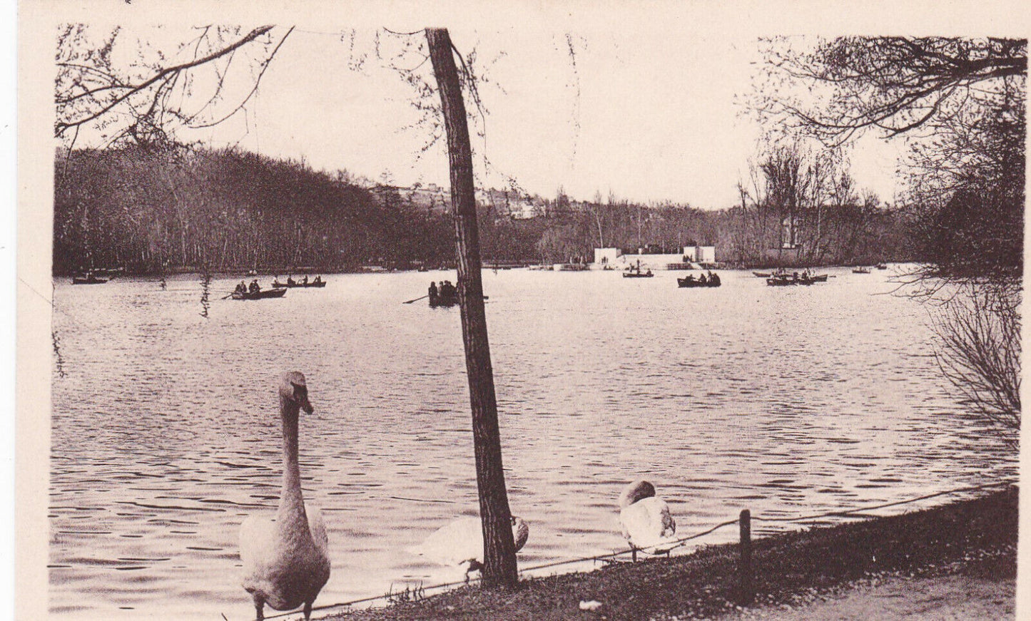 CARTE POSTALE ANCIENNE CPA LYON LE LAC DE LA TETE-D'OR