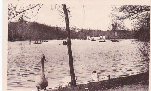 CARTE POSTALE ANCIENNE CPA LYON LE LAC DE LA TETE-D'OR
