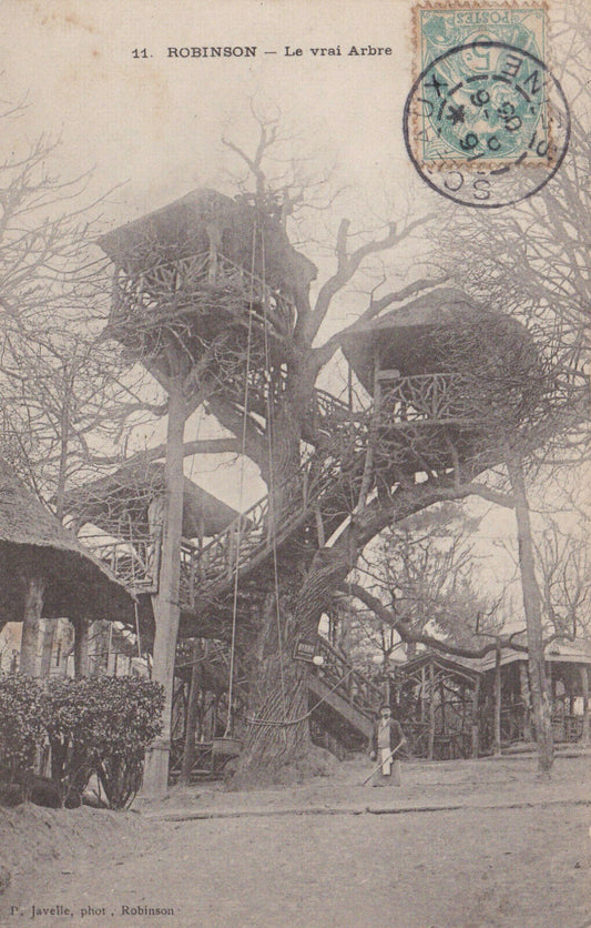 OLD POSTCARD CPA ROBINSON THE REAL TREE (1905) 