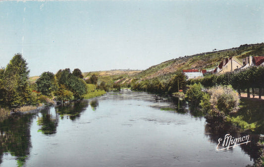 OLD POSTCARD CPA VINCELOTTES THE BANKS OF THE YONNE (1964) 