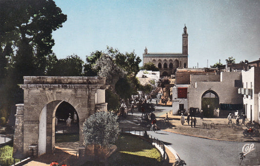 CARTE POSTALE CPSM LAGHOUAT LE MONUMENT AUX MORTS ET LA MOSQUEE
