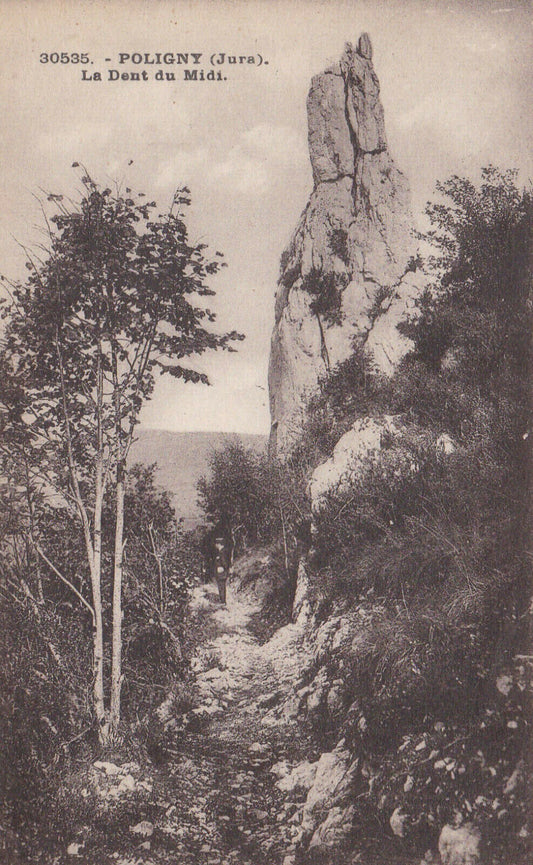 OLD POSTCARD CPA POLIGNY (JURA) LA DENT DU MIDI 
