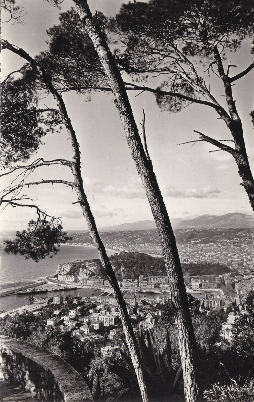 POSTCARD CPSM NICE ESCAPE TO THE CITY THROUGH THE PINES (1957) 