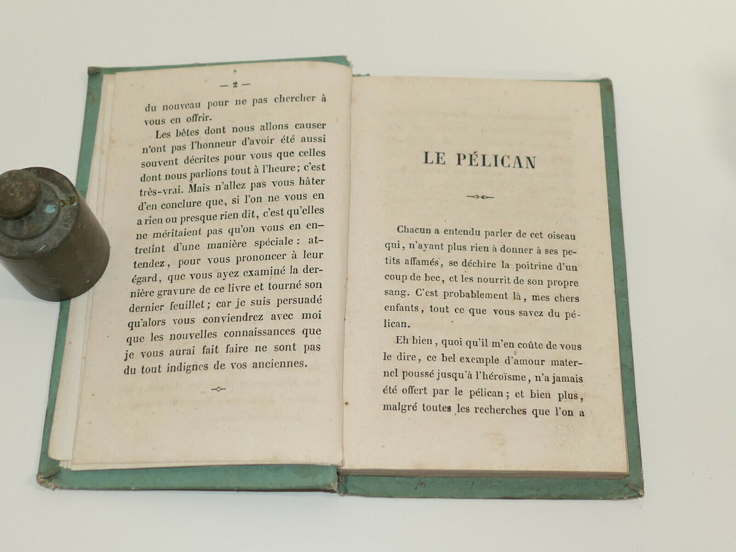 ANIMAUX REMARQUABLES / MAME & CIE TOURS / 1856