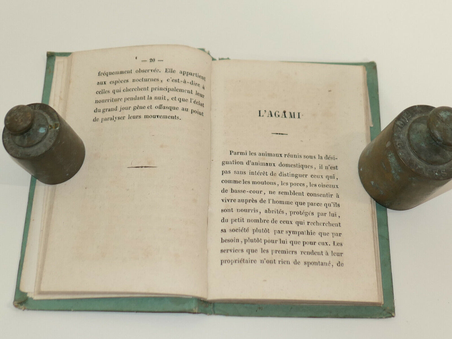 ANIMAUX REMARQUABLES / MAME & CIE TOURS / 1856